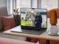 En kvinna med glasögon och en blå jacka håller i en vit häst på en laptop. Bilden visar vad referat betyder: en sammanfattning av en händelse.
