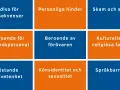 Rutnät med hinder för vård: rädsla, beroende, skam, förtroende, könsidentitet, kulturella faktorer, medvetenhet, språkbarriärer.