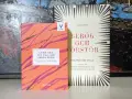 Två böcker: en orange med titeln "Guide till att läsa och skriva poesi" och en vit med titeln "Berör och förstör - Dikter för unga". En perfekt mall för att skriva dikt.