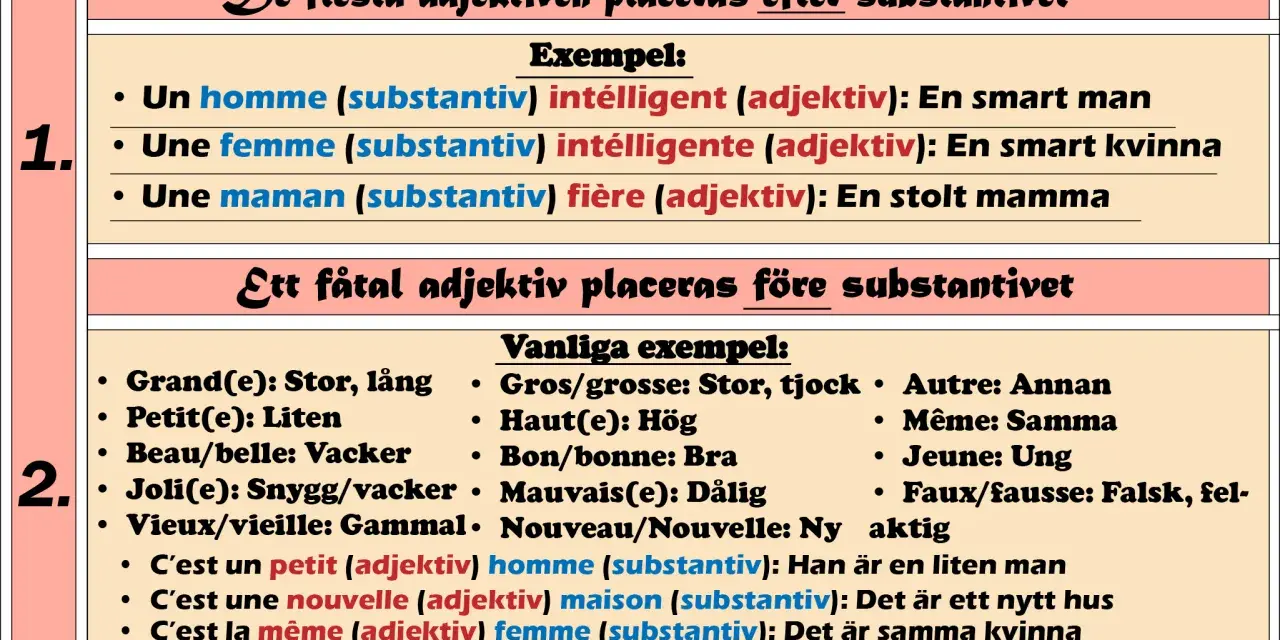 Tabell visar franska substantiv och adjektiv. Exempel: "un homme intelligent" (en smart man).