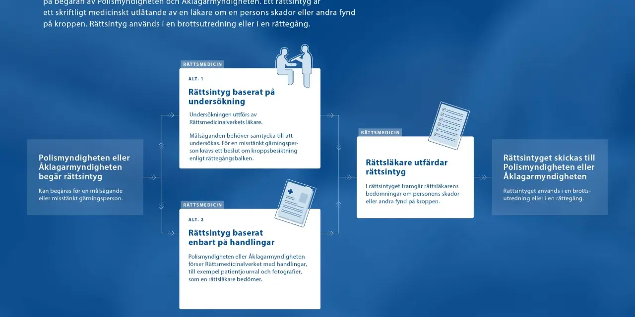 Flödesschema som visar processen för att utfärda ett rättsintyg. Det undviker en kakafoni av missförstånd genom tydliga steg.