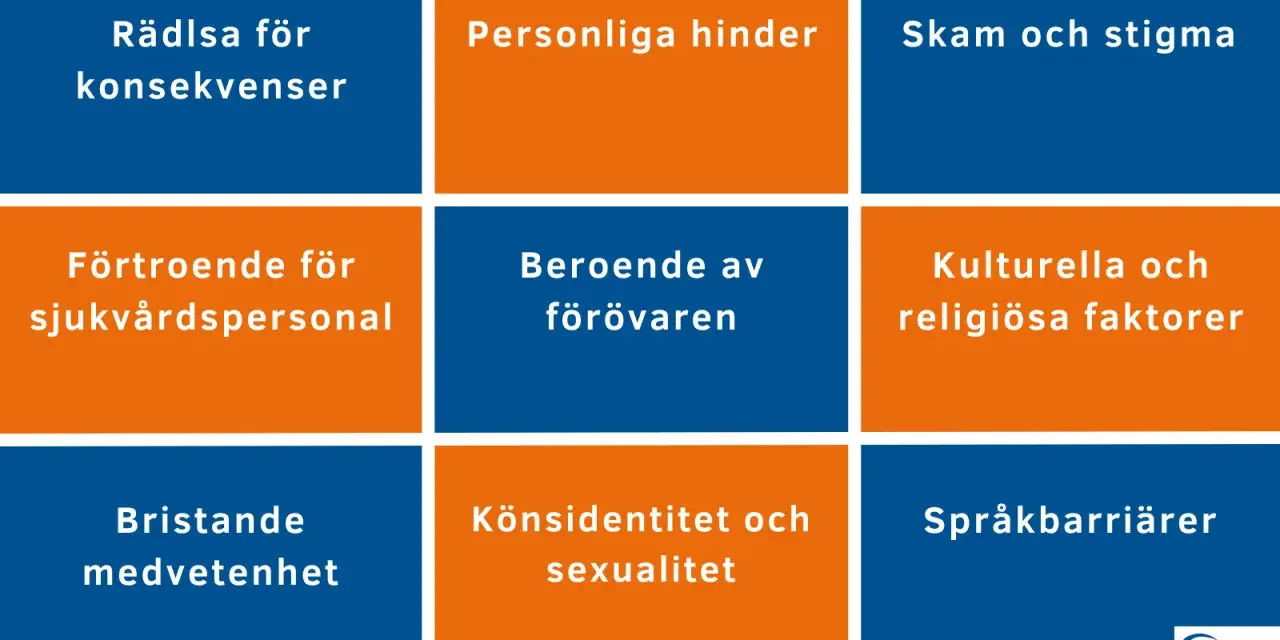 Rutnät med hinder för vård: rädsla, beroende, skam, förtroende, könsidentitet, kulturella faktorer, medvetenhet, språkbarriärer.