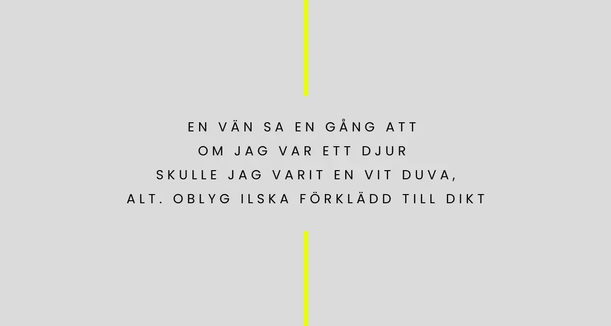 En vän sa en gång att om jag var ett djur, skulle jag varit en vit duva, alt. blyg ilska förklädd till dikt. Ljus.