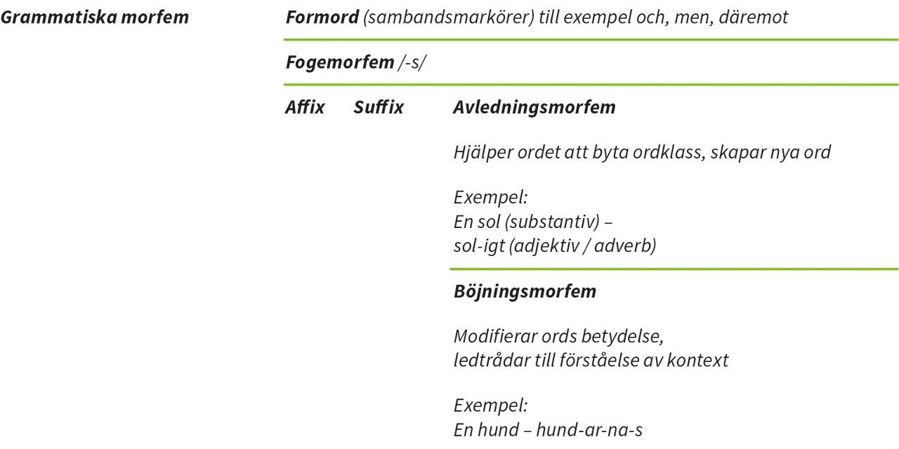 Tabell som förklarar morfologi: rotmorfem, grammatiska morfem (formord, fogemorfem, böjningsmorfem) och avledningsmorfem med exempel.