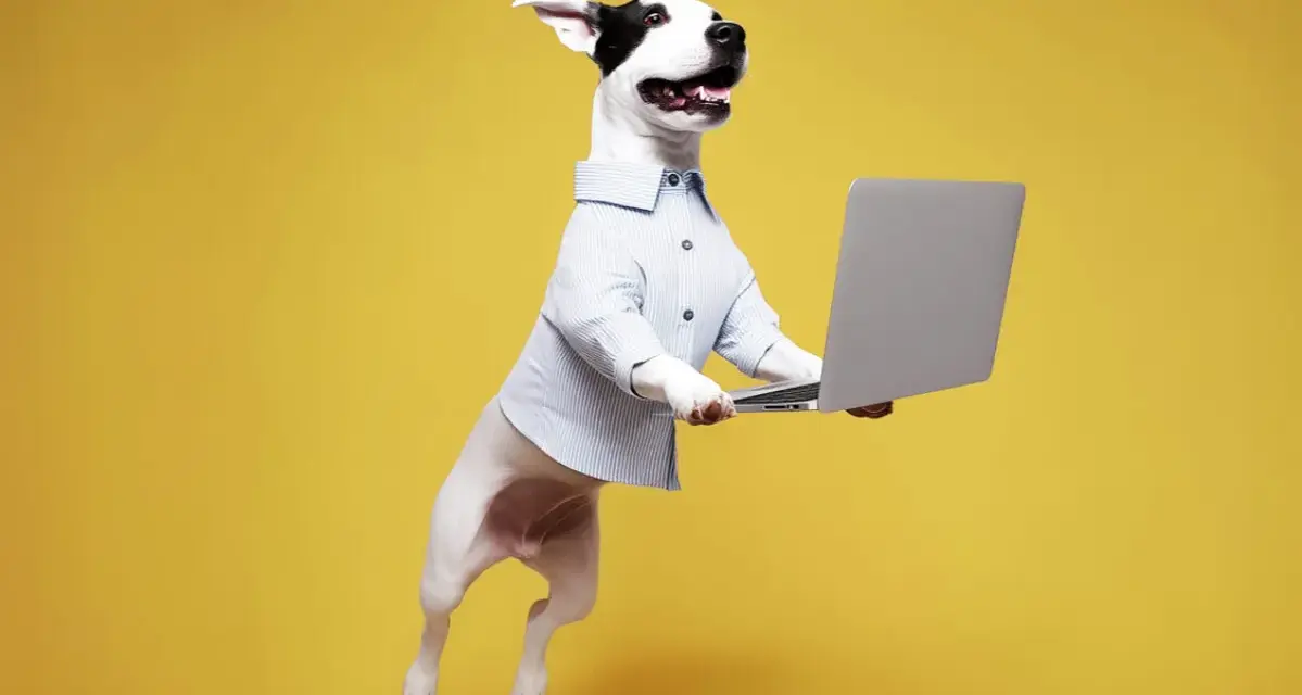 Hoppande hund i skjorta håller en laptop. En rolig bild som visar hur refererar man till en hund som jobbar.