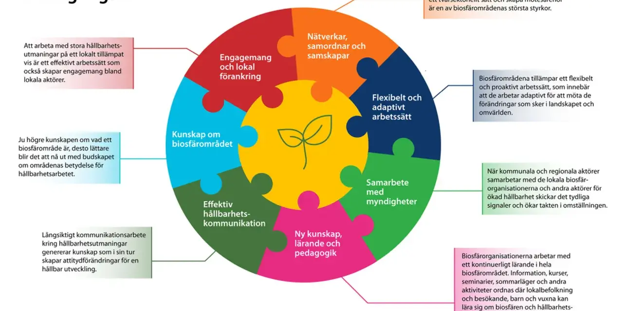 Diagram som visar framgångsfaktorer för biosfärområden, som kunskap och samarbete. En bra bokanalys kan inspireras av dessa principer.