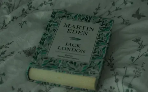 En bok med titeln "Martin Eden" av Jack London ligger på ett mönstrat tyg. En perfekt bok för att förlora sig i en novell.