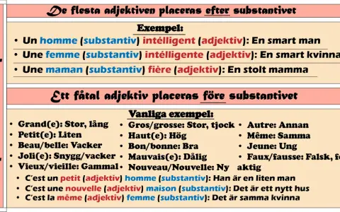 Tabell visar franska substantiv och adjektiv. Exempel: "un homme intelligent" (en smart man).