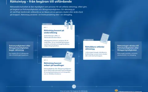 Flödesschema som visar processen för att utfärda ett rättsintyg. Det undviker en kakafoni av missförstånd genom tydliga steg.