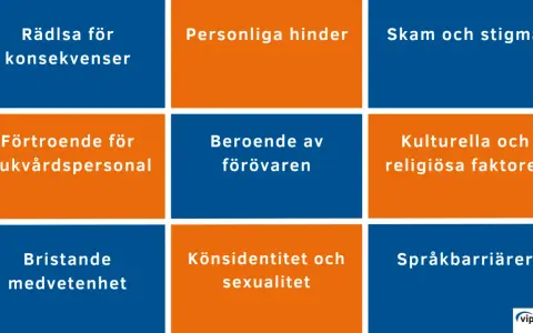 Rutnät med hinder för vård: rädsla, beroende, skam, förtroende, könsidentitet, kulturella faktorer, medvetenhet, språkbarriärer.