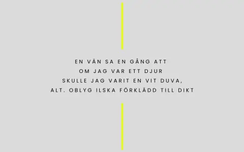 En vän sa en gång att om jag var ett djur, skulle jag varit en vit duva, alt. blyg ilska förklädd till dikt. Ljus.
