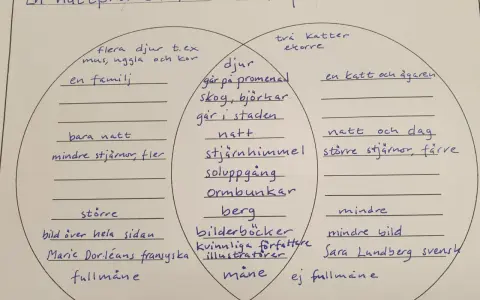 En jämförelse mellan "En nattpromenad" och "Kattpromenaden", som en dikt om hopp, med detaljer om djur, miljö och författare.