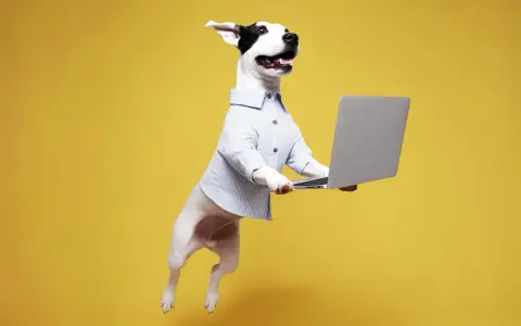 Hoppande hund i skjorta håller en laptop. En rolig bild som visar hur refererar man till en hund som jobbar.
