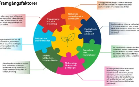 Diagram som visar framgångsfaktorer för biosfärområden, som kunskap och samarbete. En bra bokanalys kan inspireras av dessa principer.