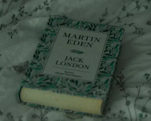 En bok med titeln "Martin Eden" av Jack London ligger på ett mönstrat tyg. En perfekt bok för att förlora sig i en novell.
