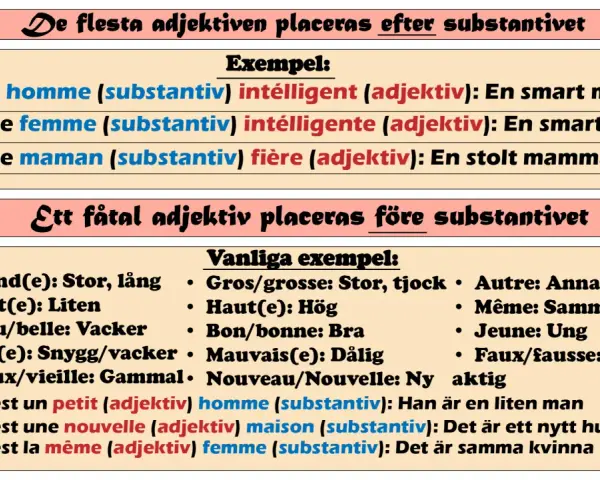 Tabell visar franska substantiv och adjektiv. Exempel: "un homme intelligent" (en smart man).