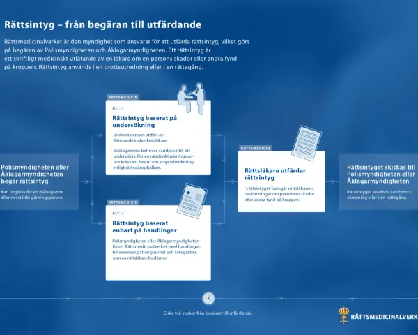 Flödesschema som visar processen för att utfärda ett rättsintyg. Det undviker en kakafoni av missförstånd genom tydliga steg.