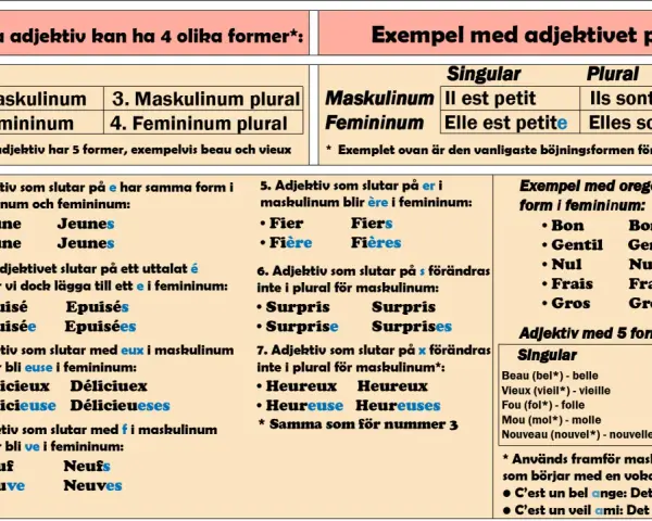 Franska adjektiv böjs. Exempel: "petit" blir "petite" i femininum.