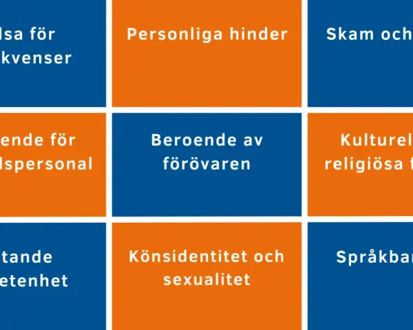 Rutnät med hinder för vård: rädsla, beroende, skam, förtroende, könsidentitet, kulturella faktorer, medvetenhet, språkbarriärer.