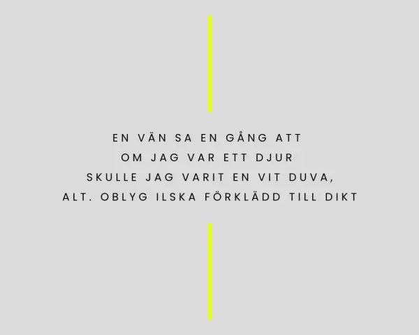 En vän sa en gång att om jag var ett djur, skulle jag varit en vit duva, alt. blyg ilska förklädd till dikt. Ljus.
