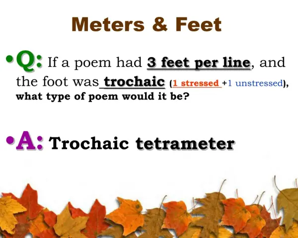 Fråga om en dikt med tre fötter per rad och en **tvåstavig versfot** (trokaisk) skulle vara en trokaisk tetrameter.
