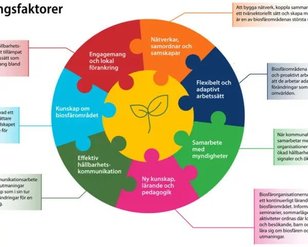 Diagram som visar framgångsfaktorer för biosfärområden, som kunskap och samarbete. En bra bokanalys kan inspireras av dessa principer.