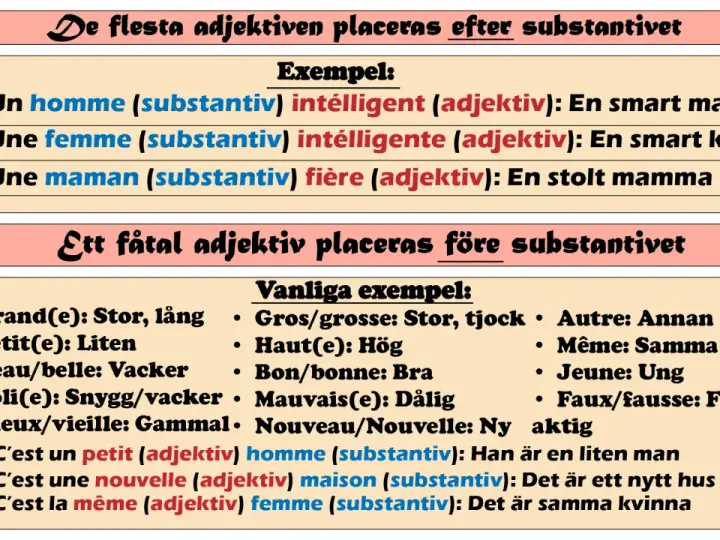 Tabell visar franska substantiv och adjektiv. Exempel: "un homme intelligent" (en smart man).