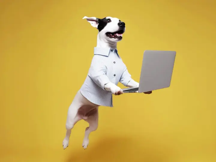 Hoppande hund i skjorta håller en laptop. En rolig bild som visar hur refererar man till en hund som jobbar.