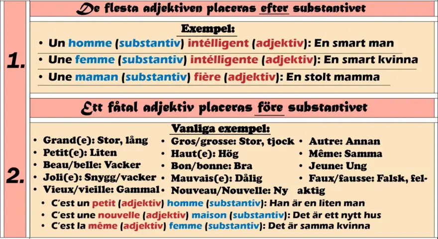 Tabell visar franska substantiv och adjektiv. Exempel: "un homme intelligent" (en smart man).