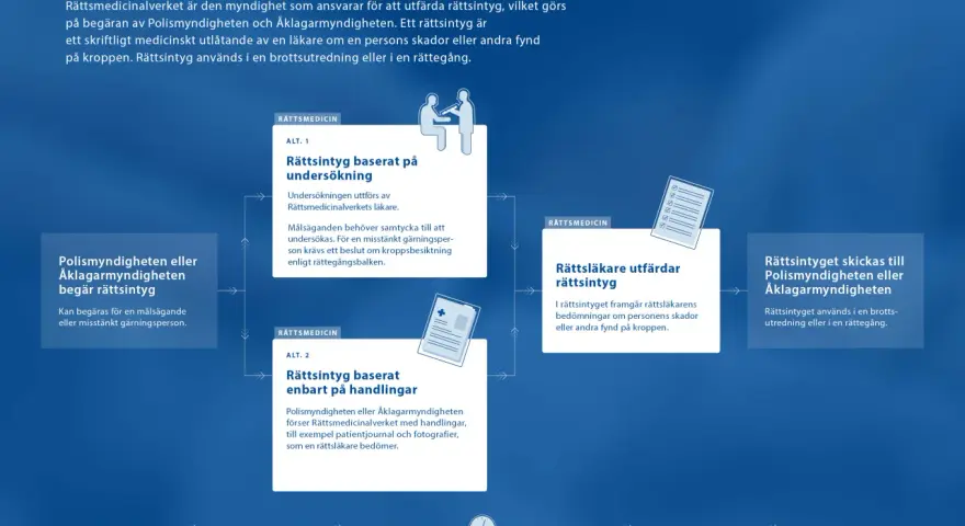 Flödesschema som visar processen för att utfärda ett rättsintyg. Det undviker en kakafoni av missförstånd genom tydliga steg.