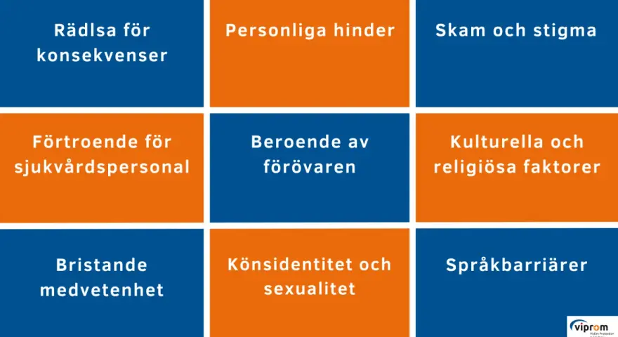Rutnät med hinder för vård: rädsla, beroende, skam, förtroende, könsidentitet, kulturella faktorer, medvetenhet, språkbarriärer.