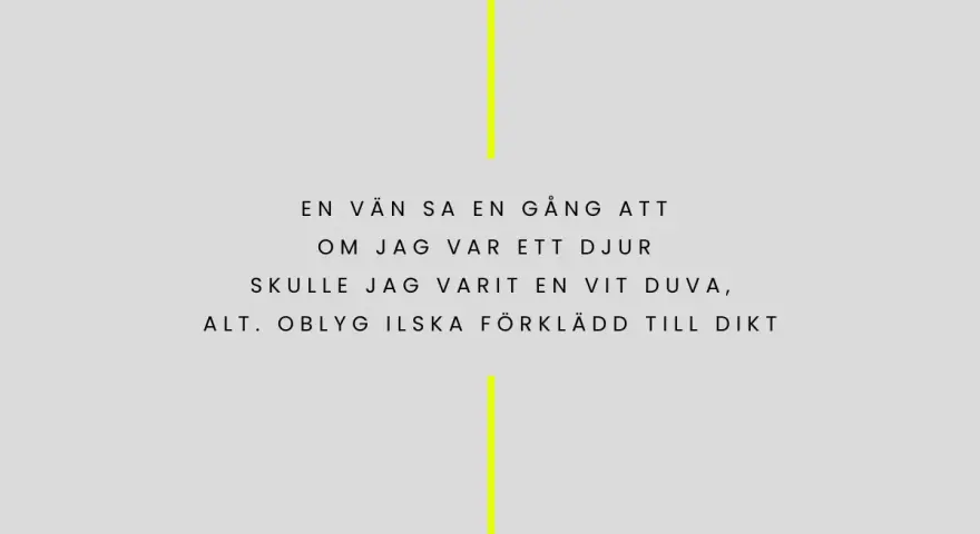 En vän sa en gång att om jag var ett djur, skulle jag varit en vit duva, alt. blyg ilska förklädd till dikt. Ljus.