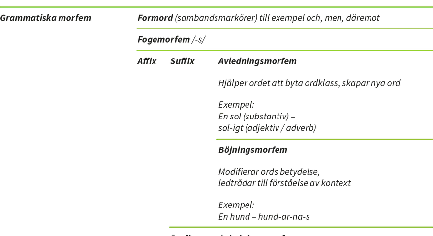 Tabell som förklarar morfologi: rotmorfem, grammatiska morfem (formord, fogemorfem, böjningsmorfem) och avledningsmorfem med exempel.