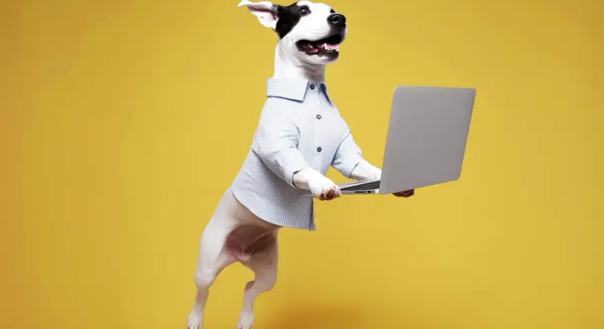 Hoppande hund i skjorta håller en laptop. En rolig bild som visar hur refererar man till en hund som jobbar.