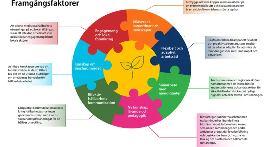 Diagram som visar framgångsfaktorer för biosfärområden, som kunskap och samarbete. En bra bokanalys kan inspireras av dessa principer.