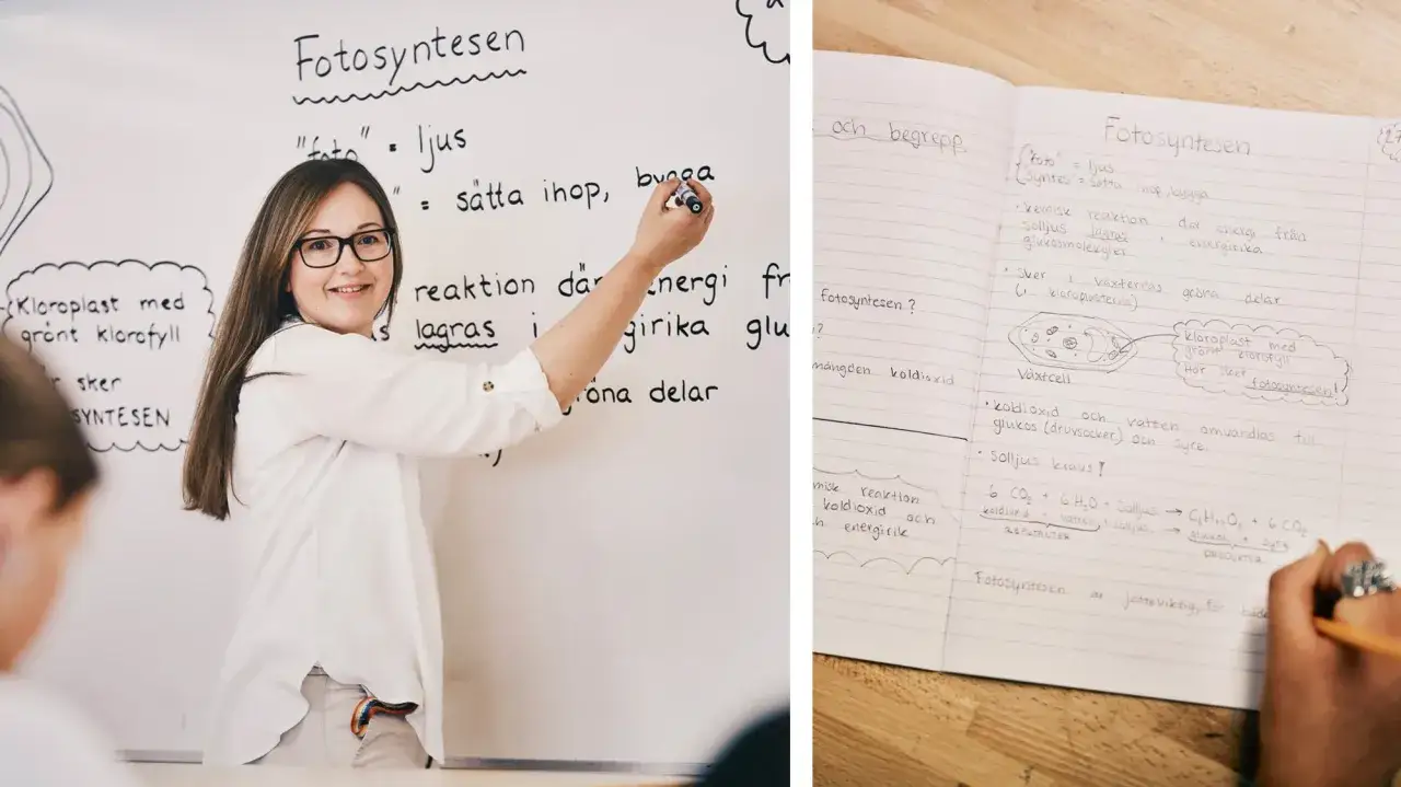 L&auml;rare f&ouml;rklarar fotosyntesen p&aring; en whiteboard. Bredvid syns en anteckningsbok som visar hur man skriver en analys av begreppet.
