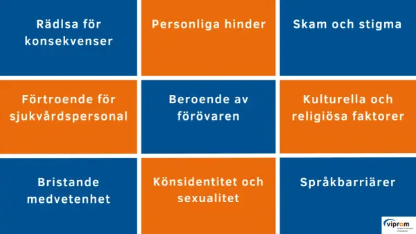 Rutnät med hinder för vård: rädsla, beroende, skam, förtroende, könsidentitet, kulturella faktorer, medvetenhet, språkbarriärer.
